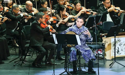 Bức tranh âm nhạc 2025 - Những gam màu tươi sáng