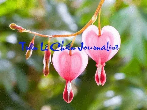 LÝ LUẬN PHÊ BÌNH -THỰC TRẠNG VÀ GIẢI PHÁP