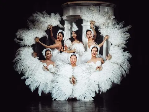 Bầy chim Thiên nga - Câu chuyện nhân văn về tình cảm gia đình